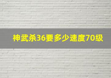 神武杀36要多少速度70级