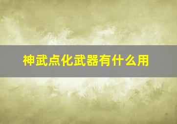 神武点化武器有什么用