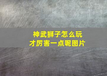 神武狮子怎么玩才厉害一点呢图片