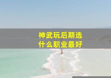 神武玩后期选什么职业最好