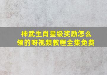 神武生肖星级奖励怎么领的呀视频教程全集免费