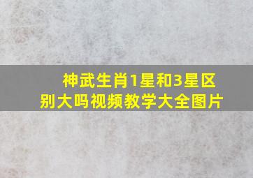 神武生肖1星和3星区别大吗视频教学大全图片