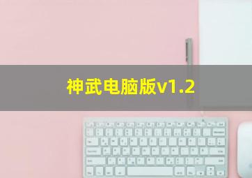 神武电脑版v1.2