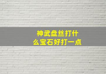 神武盘丝打什么宝石好打一点