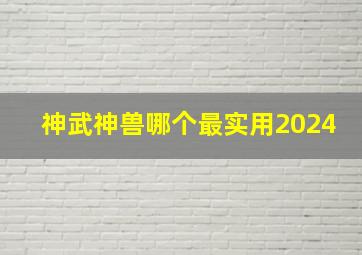 神武神兽哪个最实用2024