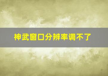 神武窗口分辨率调不了