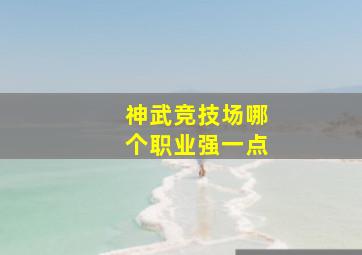 神武竞技场哪个职业强一点