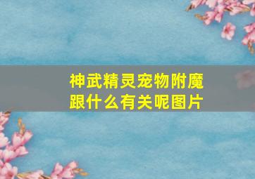 神武精灵宠物附魔跟什么有关呢图片