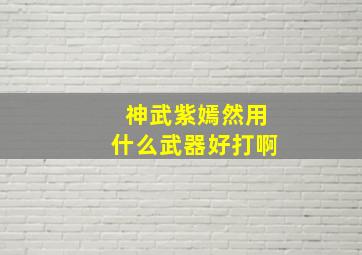 神武紫嫣然用什么武器好打啊