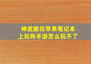 神武能在苹果笔记本上玩吗手游怎么玩不了