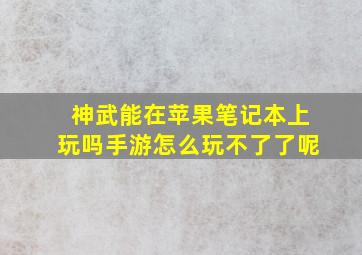 神武能在苹果笔记本上玩吗手游怎么玩不了了呢