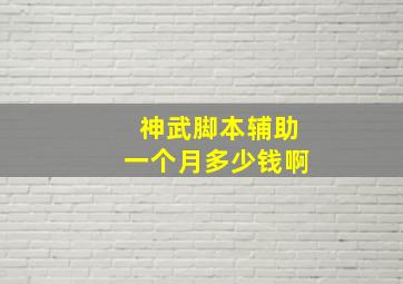 神武脚本辅助一个月多少钱啊