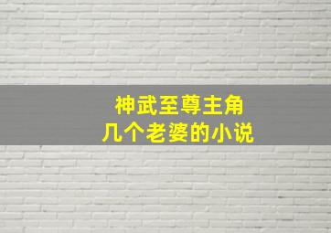 神武至尊主角几个老婆的小说