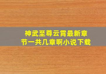 神武至尊云霄最新章节一共几章啊小说下载