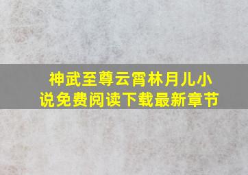 神武至尊云霄林月儿小说免费阅读下载最新章节