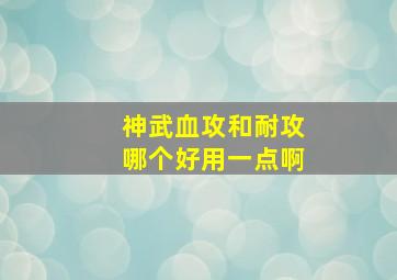 神武血攻和耐攻哪个好用一点啊