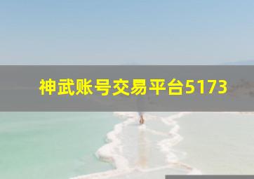 神武账号交易平台5173