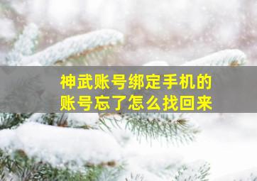 神武账号绑定手机的账号忘了怎么找回来