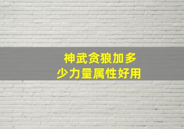 神武贪狼加多少力量属性好用