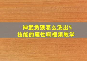 神武贪狼怎么洗出5技能的属性啊视频教学