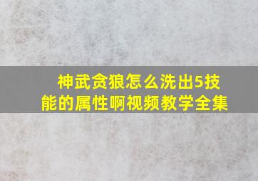 神武贪狼怎么洗出5技能的属性啊视频教学全集