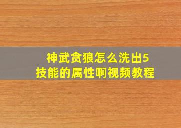 神武贪狼怎么洗出5技能的属性啊视频教程