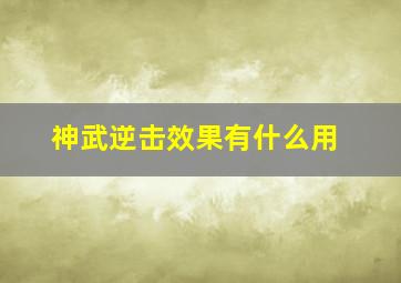 神武逆击效果有什么用