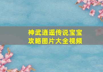 神武逍遥传说宝宝攻略图片大全视频