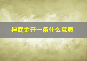 神武金开一条什么意思