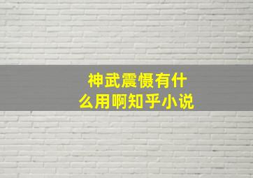 神武震慑有什么用啊知乎小说