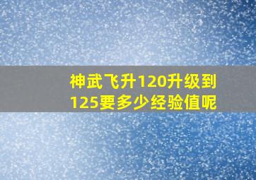 神武飞升120升级到125要多少经验值呢