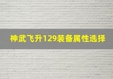 神武飞升129装备属性选择