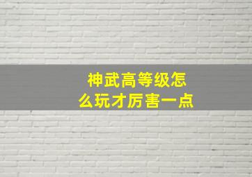 神武高等级怎么玩才厉害一点