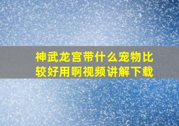 神武龙宫带什么宠物比较好用啊视频讲解下载