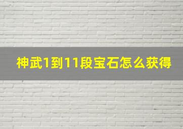 神武1到11段宝石怎么获得