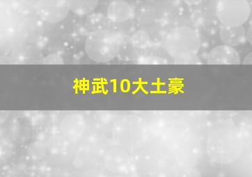 神武10大土豪