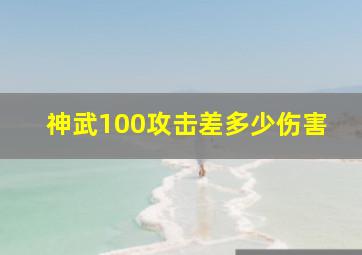 神武100攻击差多少伤害