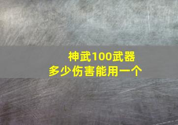 神武100武器多少伤害能用一个