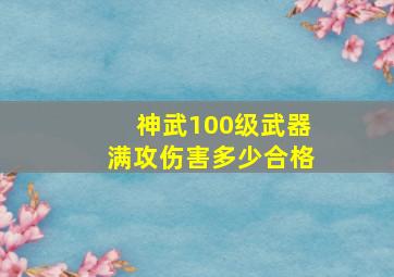 神武100级武器满攻伤害多少合格