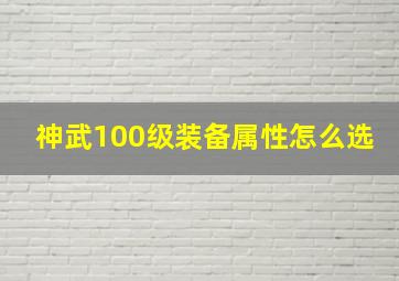 神武100级装备属性怎么选