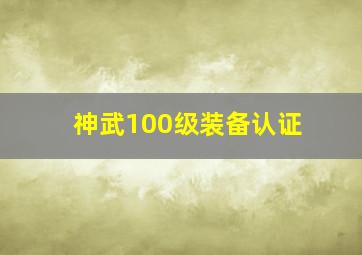 神武100级装备认证