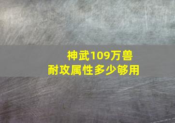 神武109万兽耐攻属性多少够用