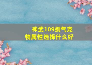 神武109剑气宠物属性选择什么好