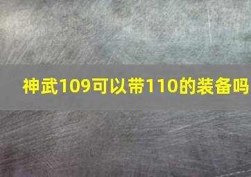 神武109可以带110的装备吗