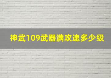 神武109武器满攻速多少级