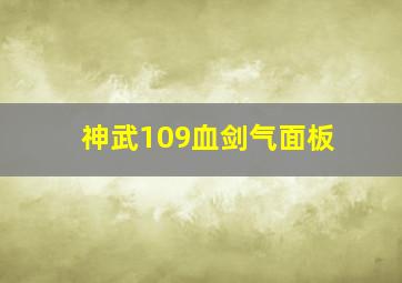 神武109血剑气面板