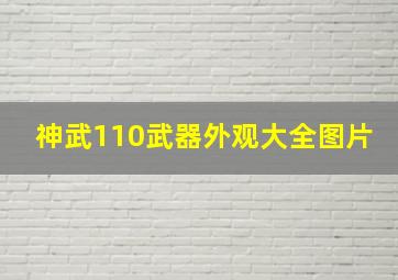 神武110武器外观大全图片