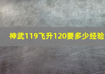 神武119飞升120要多少经验