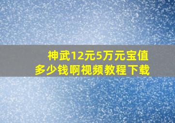 神武12元5万元宝值多少钱啊视频教程下载