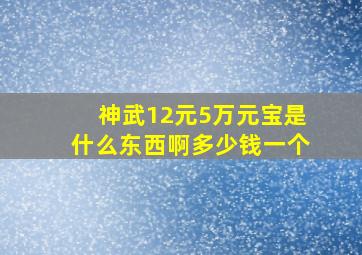 神武12元5万元宝是什么东西啊多少钱一个